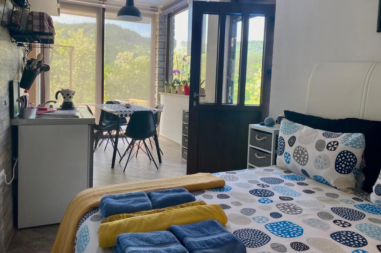 Apartman Verona Buzet Ngoại thất bức ảnh